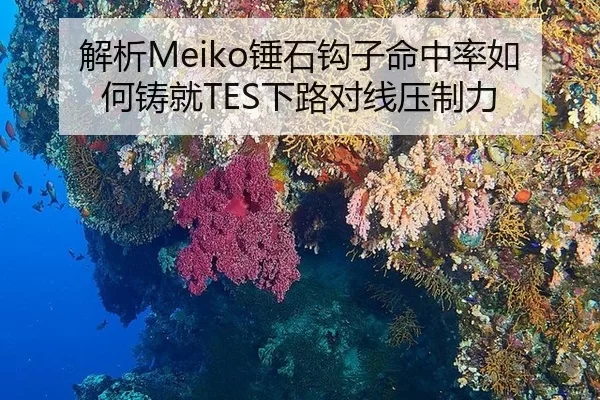 解析Meiko锤石钩子命中率如何铸就TES下路对线压制力