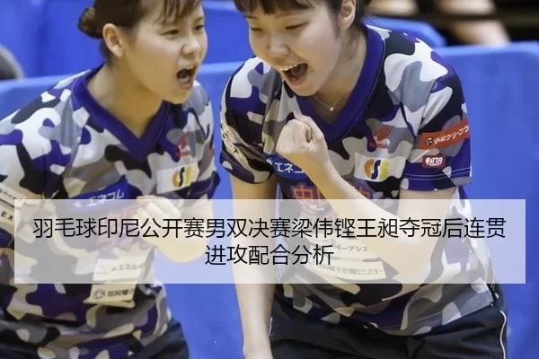 羽毛球印尼公开赛男双决赛梁伟铿王昶夺冠后连贯进攻配合分析